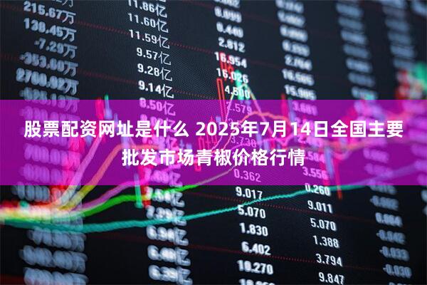 股票配资网址是什么 2025年7月14日全国主要批发市场青椒价格行情