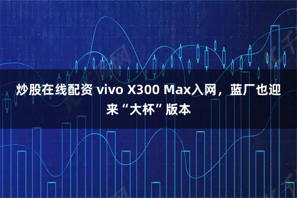 炒股在线配资 vivo X300 Max入网，蓝厂也迎来“大杯”版本